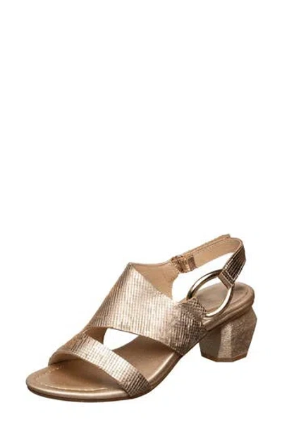 Antelope Lani Sandal In Gold