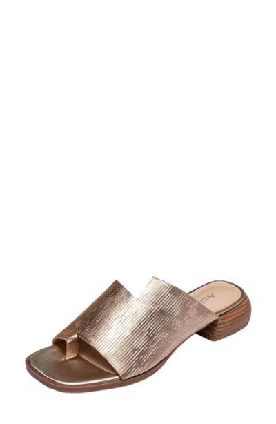 Antelope Luci Sandal In Gold