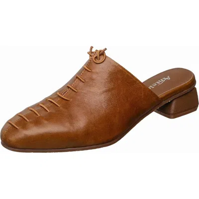 Antelope Natalie Mule In Brown