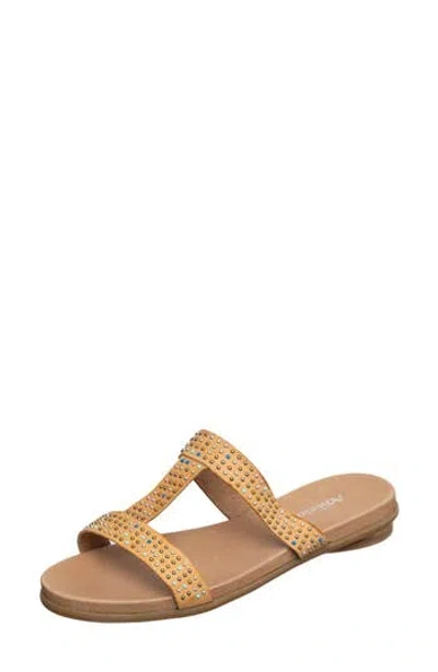 Antelope Reegan Slide Sandal In Brown
