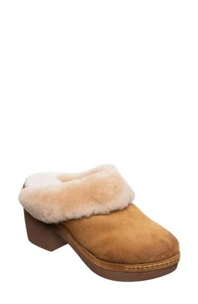 Antelope Sera Faux Fur Lined Clog In Brown