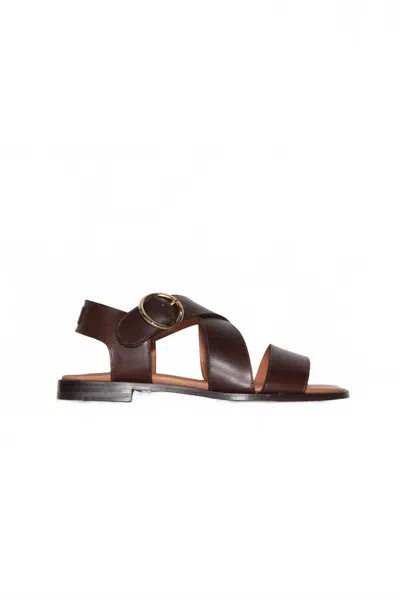 Anthology Editions Women's Rome Oxford Buckle Flat Sandal In Bruciato In Brown