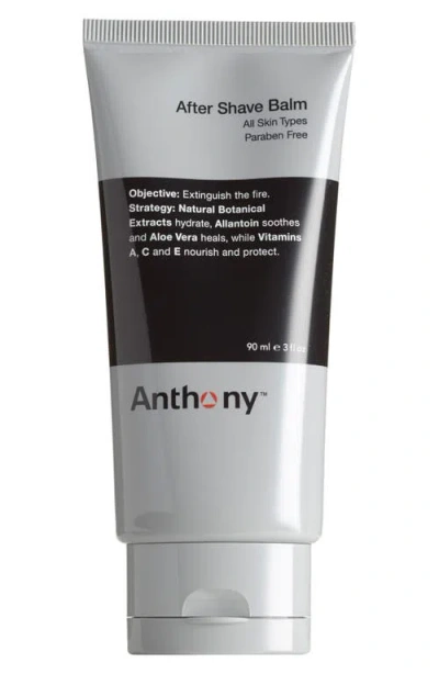 Anthony ™ After Shave Balm In Gray