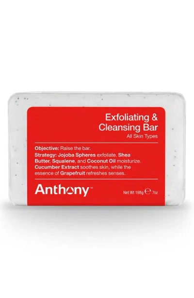 Anthony ™ Exfoliating + Cleansing Bar In Transparent