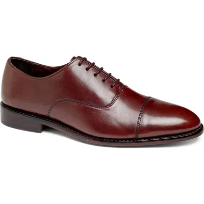 Anthony Veer Clinton Cap Toe Oxford In Chocolate Brown