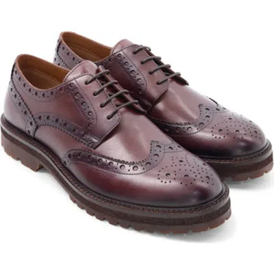 Anthony Veer Prescott Wingtip Derby In Brown