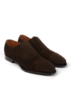 Anthony Veer Windsor Brogue In Tobacco Velvet Brown