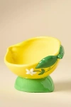 Anthropologie 3d Fruit Cat Food Bowl In Black
