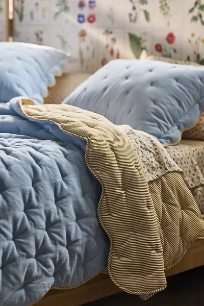 Anthropologie Abbott Cotton Velvet Solid Scalloped Quilt