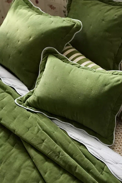 Anthropologie Abbott Cotton Velvet Solid Scalloped Quilt