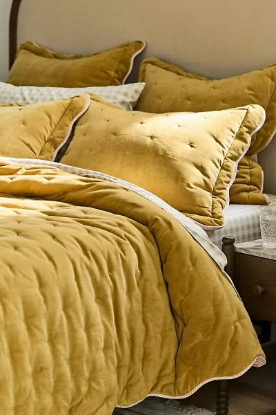 Anthropologie Abbott Cotton Velvet Solid Scalloped Quilt