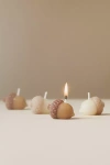 Anthropologie Acorn Shaped Wax Decorative Candles, Set Of 4 In Brown