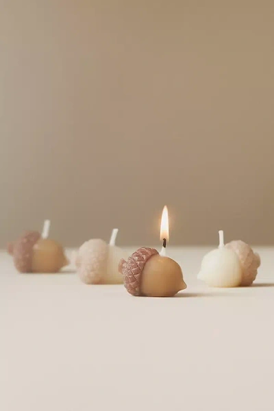 Anthropologie Acorn Shaped Wax Decorative Candles, Set Of 4 In Brown