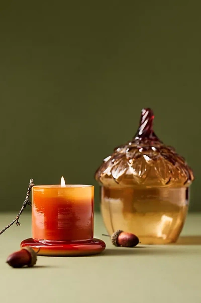 Anthropologie Acorn Spice Vanilla Clove Glass Cloche Candle In Brown