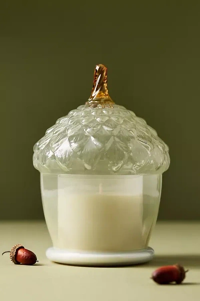 Anthropologie Acorn Woody Leather & Leaves Glass Cloche Candle