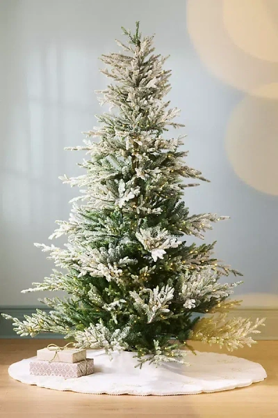 Anthropologie Akoya Tree Skirt In Green