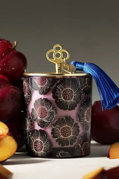 Anthropologie Amelie Fruity Vanilla & Dark Plum Lidded Glass Candle In Multi