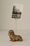 Anthropologie Animal Icon Photo Holder: Dog Edition In Gold