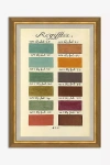 Anthropologie Antique Paint Samples Wall Art