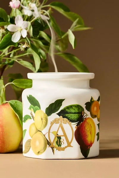 Anthropologie Apothecary 18 Fruity Harvest Apple & Vanilla Ceramic Candle In Multi