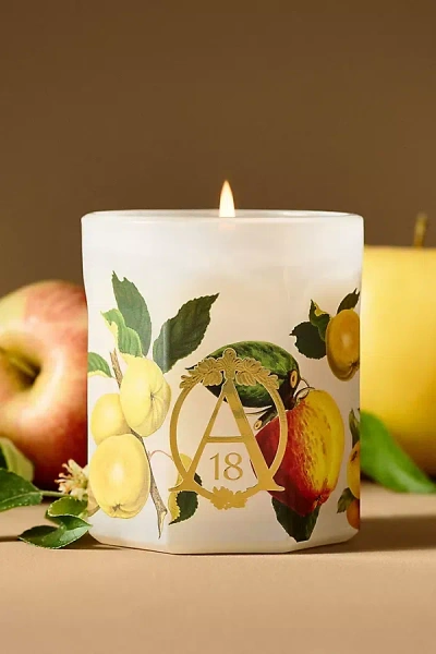Anthropologie Apothecary 18 Fruity Harvest Apple & Vanilla Glass Candle In Multi