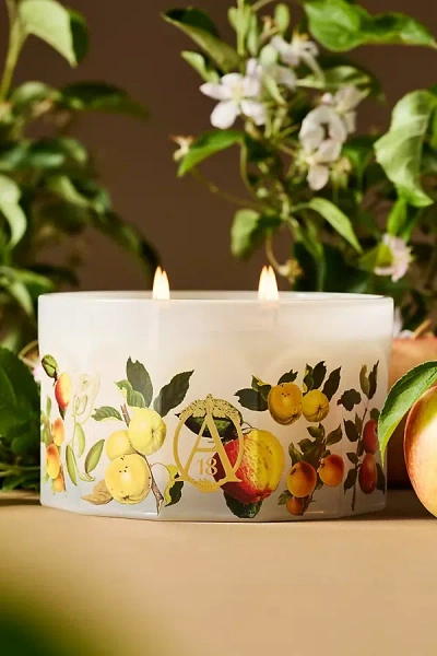 Anthropologie Apothecary 18 Gourmand Harvest Apple & Vanilla Glass Candle In White