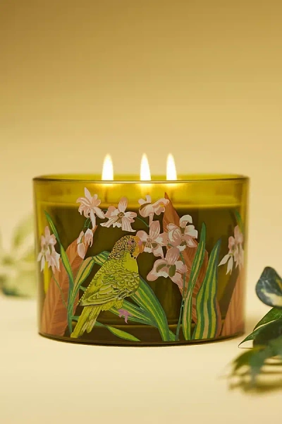 Anthropologie Aria Fresh Hibiscus & Pink Guava Glass Candle In Green