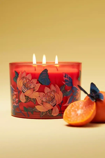 Anthropologie Aria Fruity White Amber Mandarin Glass Candle In Red