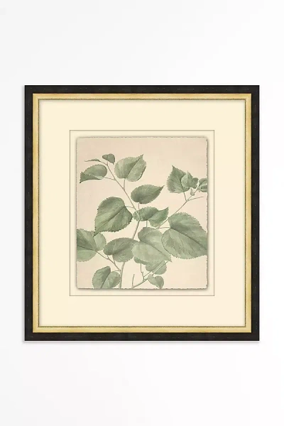 Anthropologie Asge Branches Wall Art In Multi