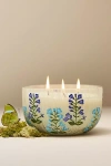 Anthropologie Astrid Fresh Fern Moss Glass Candle