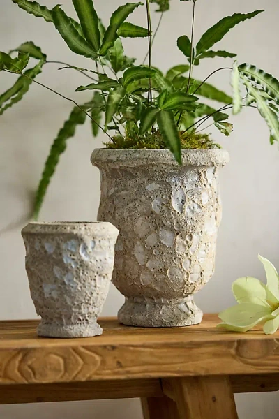 Anthropologie Barnacle Anduze Urn