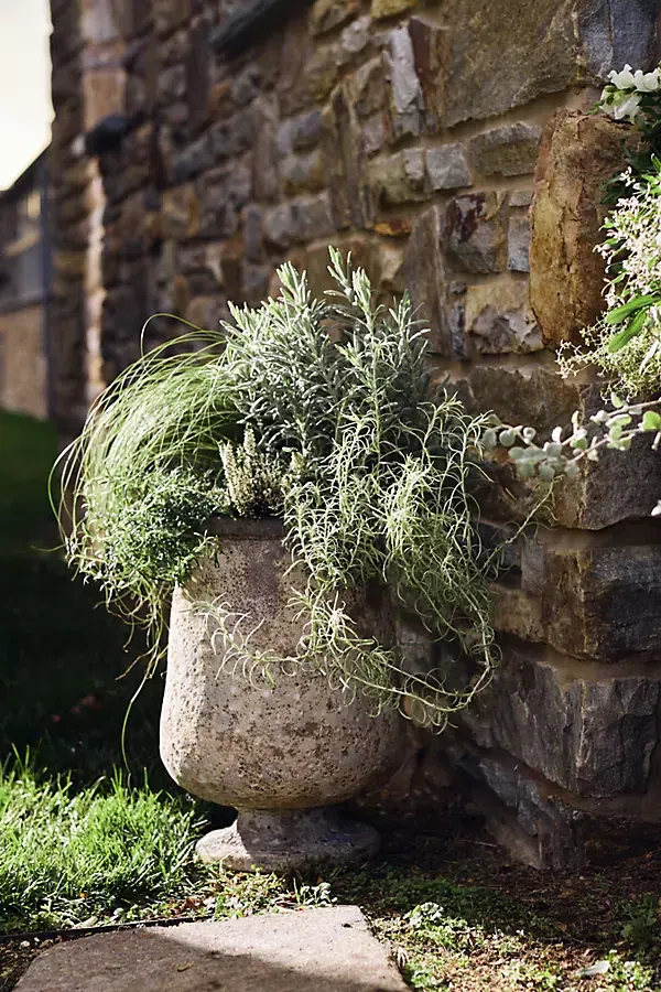 Anthropologie Barnacle Urn