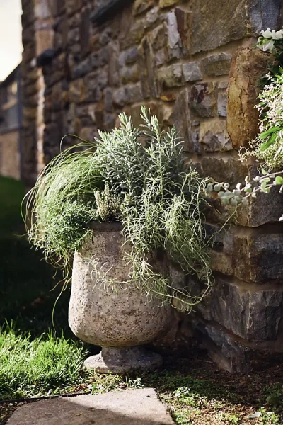 Anthropologie Barnacle Tall Urn In Gray