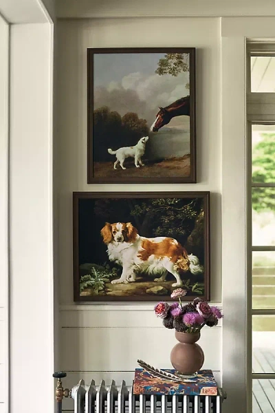 Anthropologie Bay Horse And White Dog - Focus Wall Art In Multi