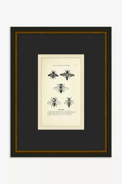 Anthropologie Bee's Knees Wall Art In Black