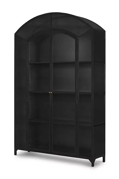 Anthropologie Belmont Arched Wide Metal Glass Door Cabinet In Black