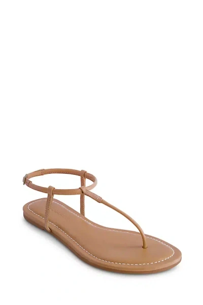 Anthropologie Bernardo Hercules Thong Sandals In Animal Print