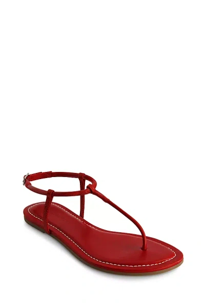 Anthropologie Bernardo Hercules Thong Sandals In Multi