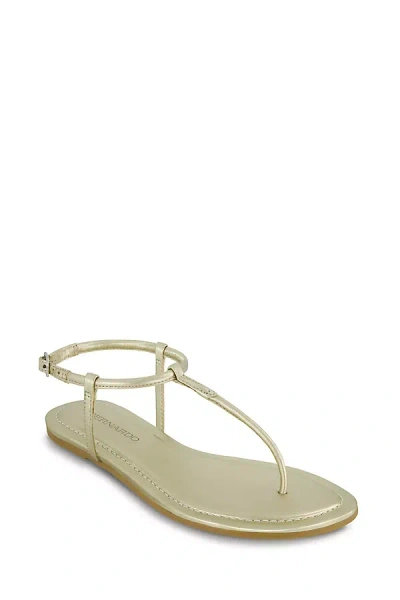 Anthropologie Bernardo Hercules Thong Sandals In Multi