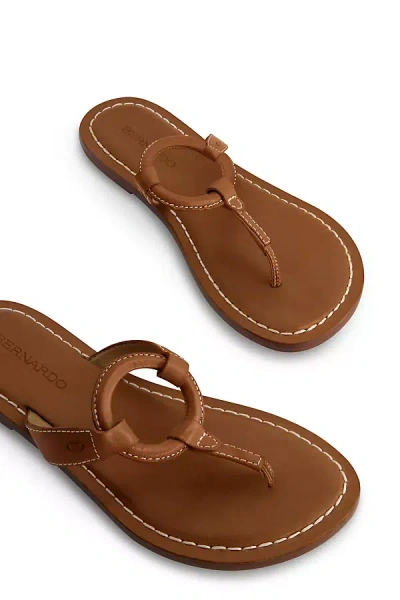 Anthropologie Bernardo Matrix Thong Slides In Brown