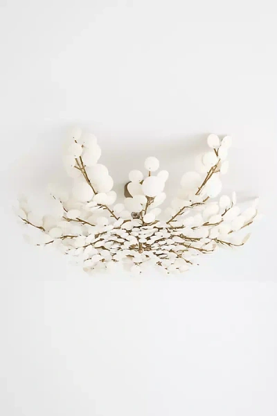 Anthropologie Bilal Coconut Flush Mount