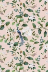 Anthropologie Bird Vine Chinoiserie Non-woven Matte Peel-and-stick Wallpaper In Multi