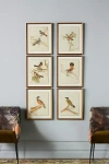 Anthropologie Birds Of Autumn Wall Art In Assorted