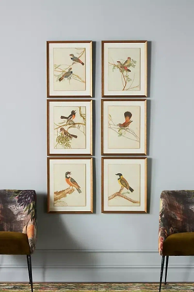 Anthropologie Birds Of Autumn Wall Art In Purple