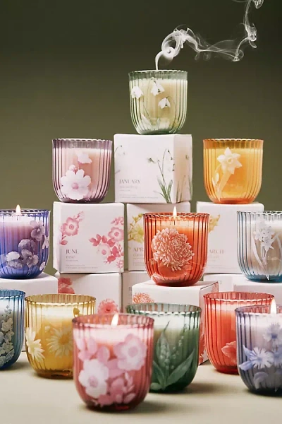 Anthropologie Birth Month Flower Boxed Candle In Multi