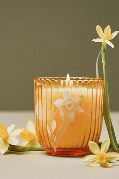 Anthropologie Birth Month Flower Boxed Candle In Orange