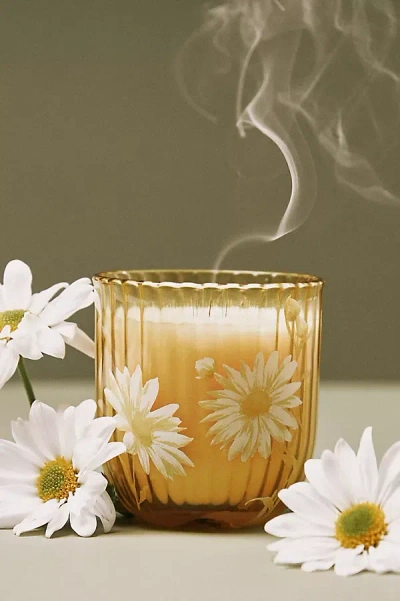 Anthropologie Birth Month Flower Boxed Candle In Orange