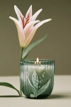 Anthropologie Birth Month Flower Boxed Candle In Green