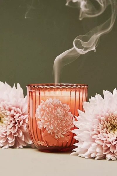 Anthropologie Birth Month Flower Boxed Candle In Orange