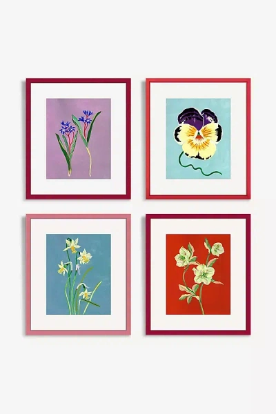 Anthropologie Blooming Florals Gallery Wall Art In Multi
